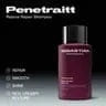 Sebastian Penetraitt Shampoo reviews