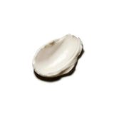 Moroocanoil Body Butter