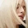 Sebastian Dark Oil for blondes