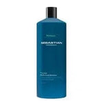 sebastian twisted curls shampoo and conditioner