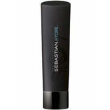 Sebastian Hydre Shampoo 250ml - Bohairmia